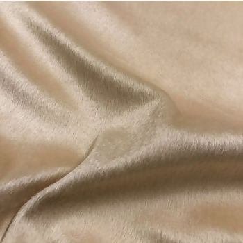 imagem_2025-12-02_154007054