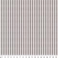 172520